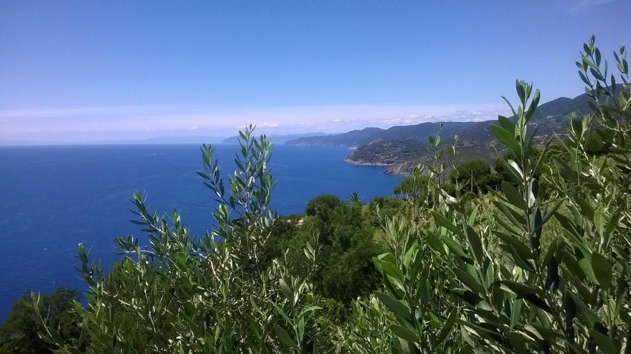 Hotel La Giada Del Mesco レヴァント エクステリア 写真